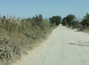 Satılır 116 sot torpaq Xaçmaz