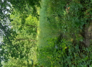 Satılır 10 sot torpaq Quba