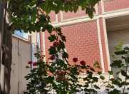 Satılır 7 otaqlı 200 m2 həyət evi Zabrat 2