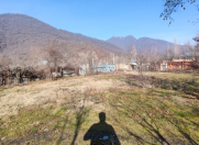 Satılır 6 sot torpaq Qəbələ