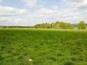 Satılır 15 sot torpaq Qobustan