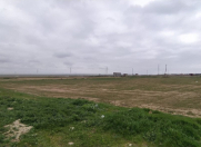 Satılır 1600 sot torpaq Binə