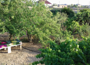 Satılır 4 otaqlı 120 m2 bağ evi Zirə