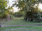 Satılır 54 sot torpaq Qəbələ