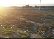 Satılır 15 sot torpaq Saray