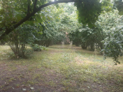 Satılır 30 sot torpaq Qəbələ