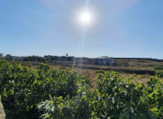 Satılır 50 sot torpaq Bilgəh