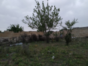 Satılır 9 sot torpaq Şirvan