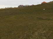 Satılır 10 sot torpaq Hökməli