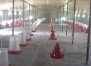 Satılır 1 otaqlı 350 m2 obyekt Xaçmaz