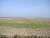 Satılır 3.56 sot torpaq Göyçay