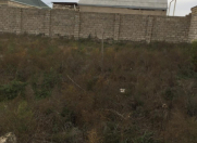 Satılır 10 sot torpaq Binə