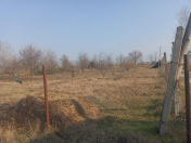 Satılır 14 sot torpaq Bərdə