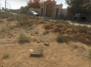 Satılır 15 sot torpaq Qafqaz Universiteti