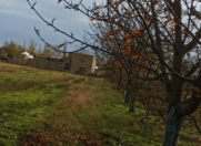 Satılır 200 sot torpaq Qusar