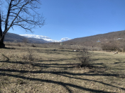 Satılır 16 sot torpaq Qusar