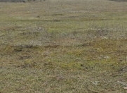 Satılır 2 sot torpaq Qusar