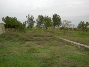 Satılır 50 sot torpaq Siyəzən