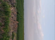 Satılır 150 sot torpaq Kürdəmir