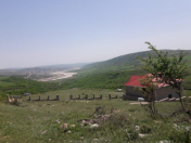 Satılır 12 sot torpaq Şamaxı