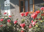 Satılır 6 sot torpaq Şəki