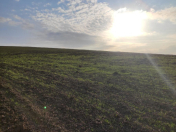 Satılır 820 sot torpaq İsmayıllı