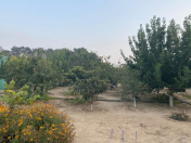 Satılır 24 sot torpaq Mərdəkan