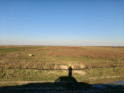 Satılır 5 sot torpaq Şabran