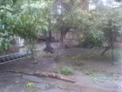 Satılır 5 sot torpaq Görədil