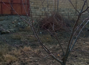 Satılır 6 sot torpaq Novxanı