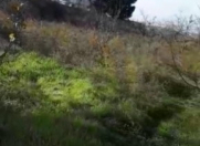 Satılır 14 sot torpaq Novxanı