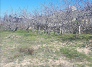 Satılır 10 sot torpaq Sumqayıt