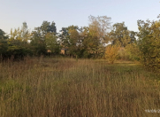 Satılır 15 sot torpaq Qusar