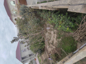 Satılır 2.5 sot torpaq Sumqayıt