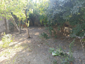 Satılır 3.6 sot torpaq Buzovna