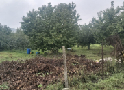 Satılır 5 sot torpaq Quba