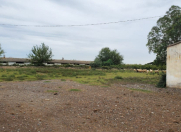 Satılır 4000 sot torpaq İmişli