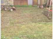 Satılır 6 sot torpaq Xaçmaz