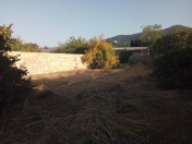 Satılır 5.4 sot torpaq Zaqatala