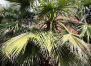 Satılır 8 otaqlı 267 m2 obyekt Gəncə