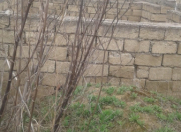 Satılır 8 sot torpaq Buzovna
