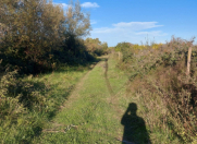 Satılır 16 sot torpaq Xaçmaz