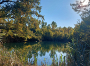 Satılır 108 sot torpaq Xaçmaz