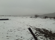 Satılır 1000 sot torpaq Qobustan