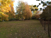 Satılır 8.4 sot torpaq Qəbələ