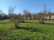 Satılır 42 sot torpaq Qəbələ