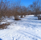 Satılır 72 sot torpaq Qəbələ