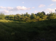 Satılır 70 sot torpaq İsmayıllı