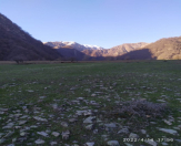 Satılır 203500 sot torpaq Quba