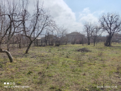 Satılır 30 sot torpaq Quba